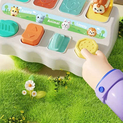 Pop-Up Cute Pet Logic Toy